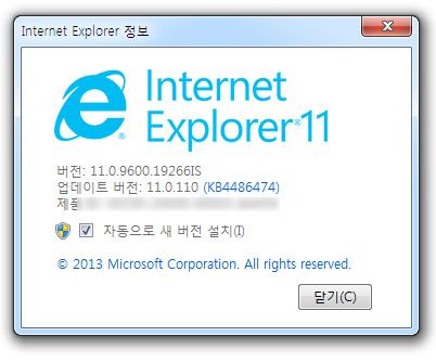 Internet Explorer ���� Ȯ��